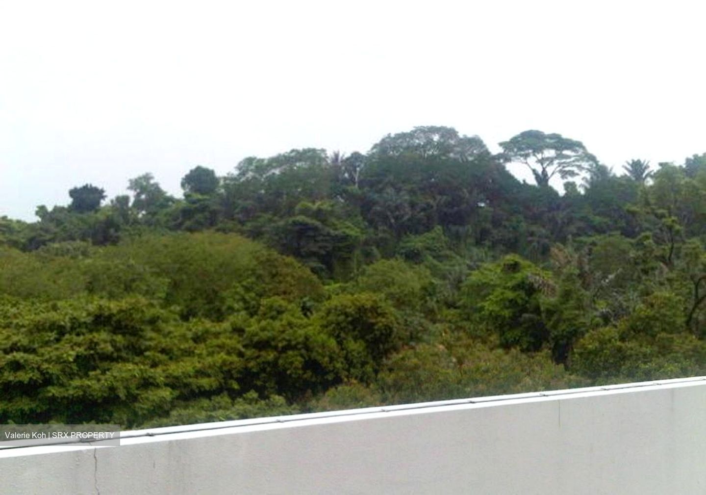 The Pearl @ Mount Faber (D4), Condominium #561300631